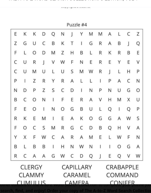 The A-To-Z Word Search Collection: C Edition, Volume 1 - Image 2