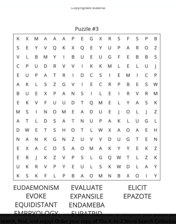 The A-To-Z Word Search Collection: E Edition, Volume 1 - Image 3